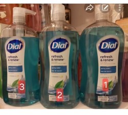 DẦU TẮM Dial Body Wash, Refresh & Renew Spring Water, 32 OZ - BỊ ĐỔ